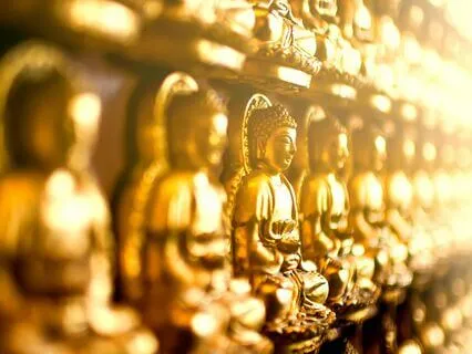 Ask Your Guides - New Year, New You!  Live - 12/31/24