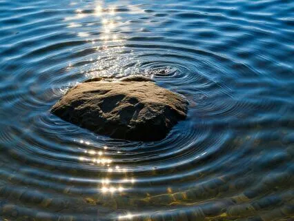 Ask Your Guides! A Peaceful Pause - Live - 11/1/24
