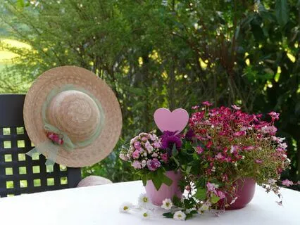 Ask Your Guides! Presents: Return To Love - Live - 10/11/24