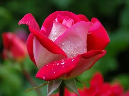 Asking For Help - June 20