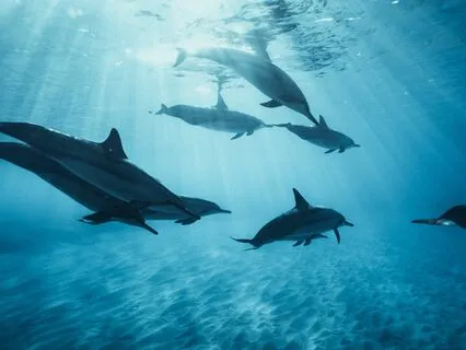 Asking For What You Want In Life