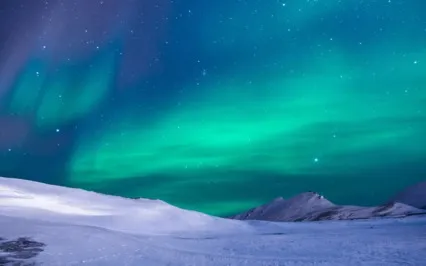 Asking Why Is To Find Out Independently Not Seek An Answer