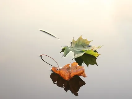 Διαλογισμός αναπνοής για μείωση στρες