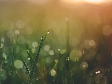 ASMR 1 Hour Affirmations: You Are Enough