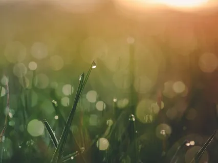 ASMR 1-Hour Popular Trigger Words