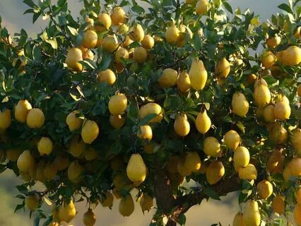 ASMR Affirmations For Money And Abundance