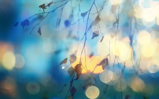 ASMR Ambience - Gentle Rustling & Wind Sounds