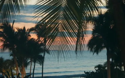 ASMR Ambience: Playful Beach Sunset