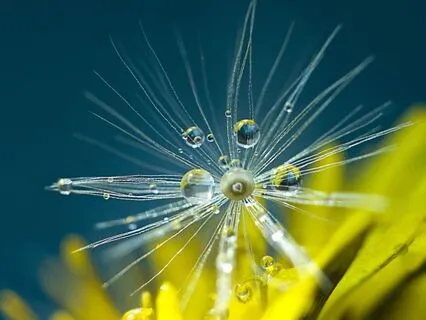 ASMR Breathing & Whispering Meditation For Depression Relief