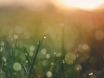 ASMR Breathy Whispers, Mhm, Good, Okay