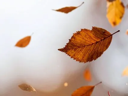 ASMR Cleansing Your Aura