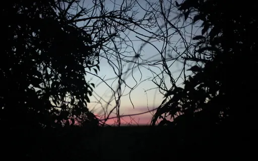 ASMR Crinkles For Sleep - No Talking