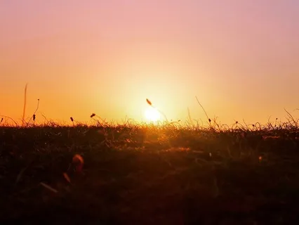 ASMR Crispy Whispers: Trigger Words For Autumn / Fall