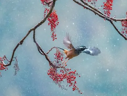 ASMR for Relaxation: Beauty of Nature