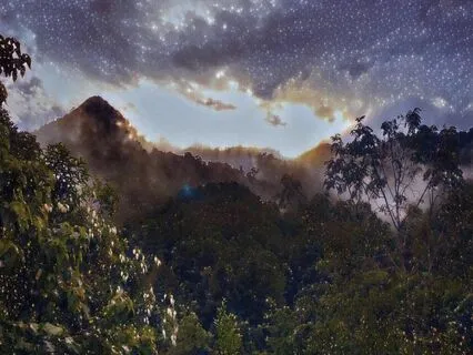 ASMR For Sleep: Dreamy Night Rainforest (Ten Minutes)