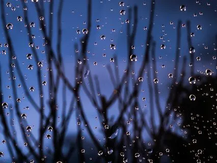 ASMR For Sleep: Dreamy Rain Ambience