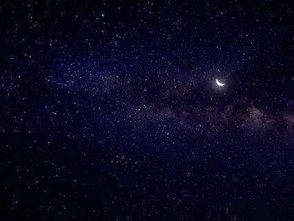 ASMR for Sleep: In the Night Forest