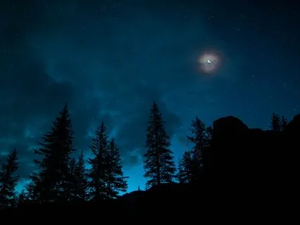 ASMR For Sleep: Relaxing Nature At Night