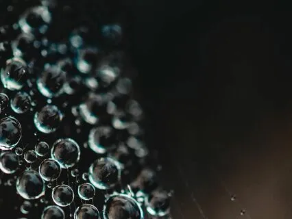 ASMR In Nature: Five Minutes In The Rain