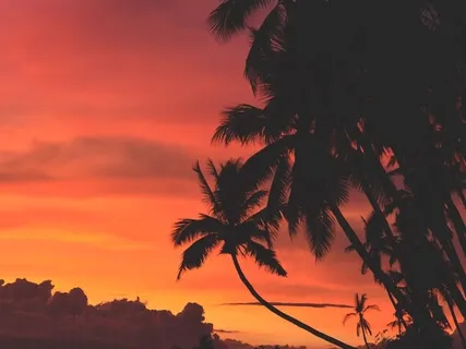 ASMR Inner Peace Relaxation Music - Mindfulness Meditation & Sleep Background Music