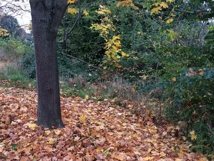 ASMR Making A Hot Drink