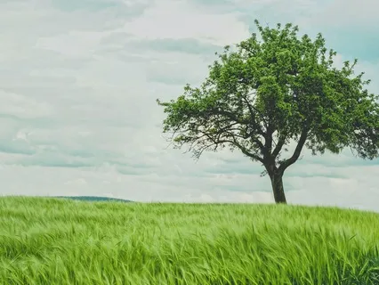 ASMR Manifesting Whispers: Money Flows To Me