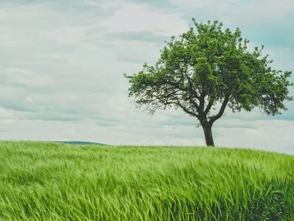 ASMR Relax Your Mind For Sleep