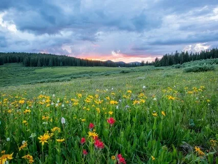 ASMR Relaxing Garden Visualisation For Dreamy Sleep