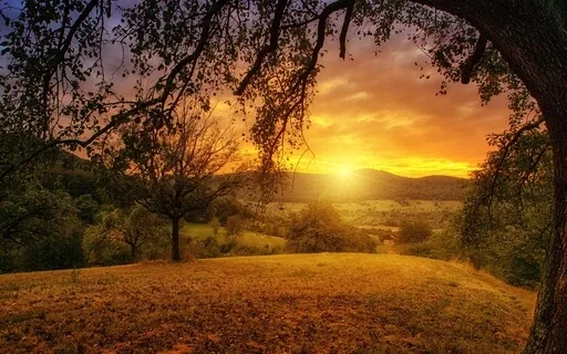 ASMR Sink Into Pure Relaxation