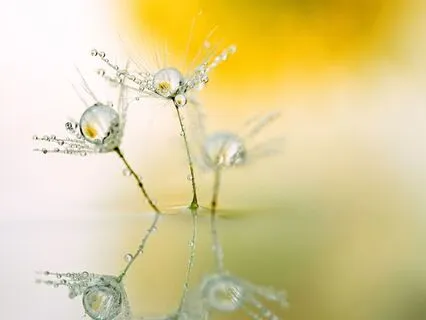 ASMR Soft Spoken Breathing Meditation For Physical Ailments