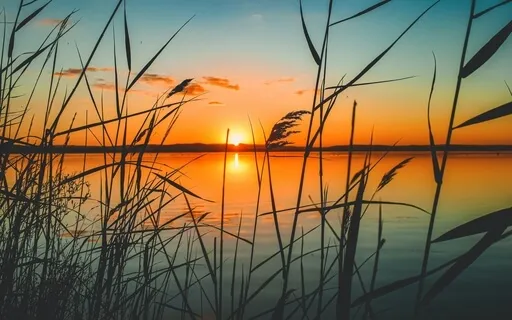 ASMR Soundscape: Blissful Nature