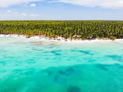 ASMR Soundscape: Hypnotic Beach Waves