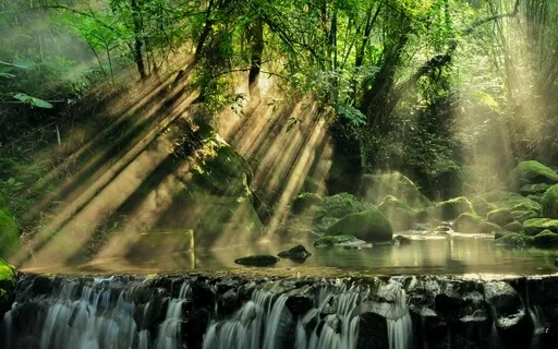 ASMR Soundscape: In The Forest