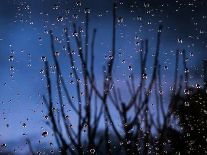 ASMR Soundscape: Sleepy Night In Nature