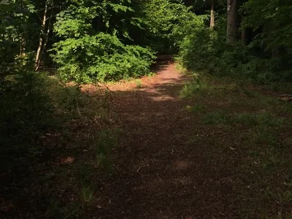 ASMR Tarot Cards Being Shuffled