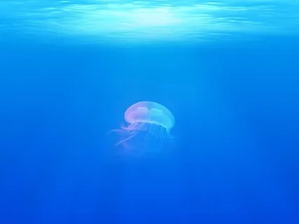 ASMR Water Element Sound Healing Meditation