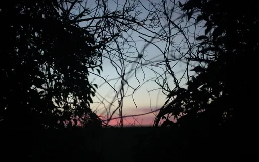 ASMR Whispers & Crinkles Sound Journey For Sleep