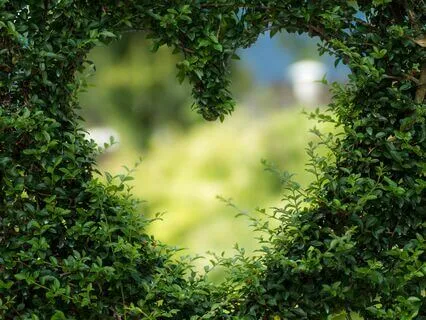 ASMR Wind Chimes With Wind And Light Rain