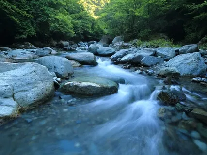 ASMR Живая Медитация У Реки