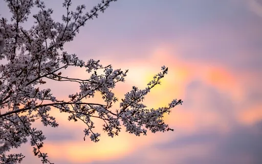 Assigning Your Worth 