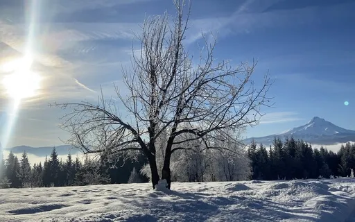 Asteya (Non-Stealing)