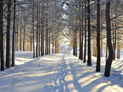 Astral Nidra 3: Realize Your Multidimensional Highest Self