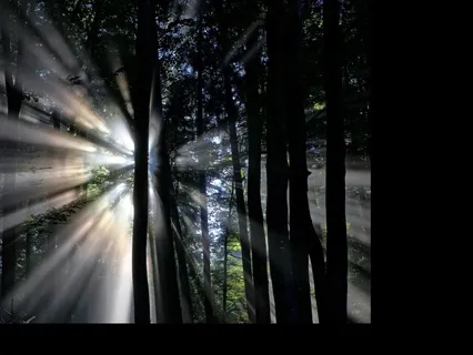 Astral Projection: Meet A Loved One