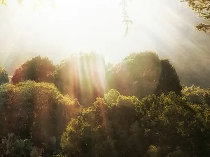 Astral Voices: A Lullaby For Tranquil Dreams