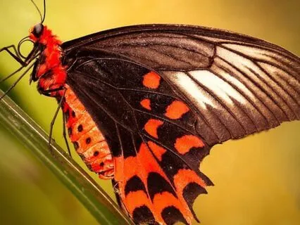 Astrology 101- The Hidden Power Of Your Birth Chart