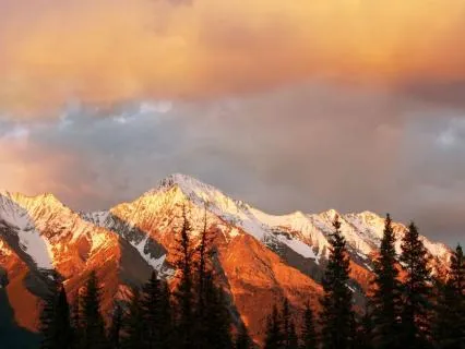 Astrology For January 18-24, 2026