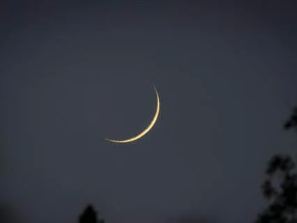Astrology For Work - New Moon Cultivation & Renewal