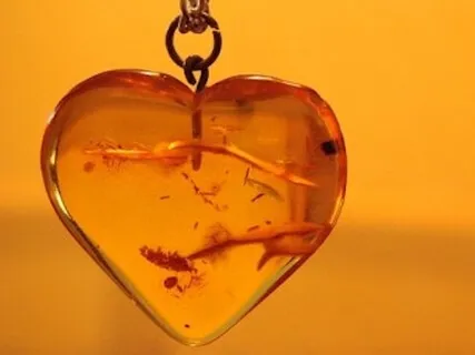 At Home In My Life Inquiry