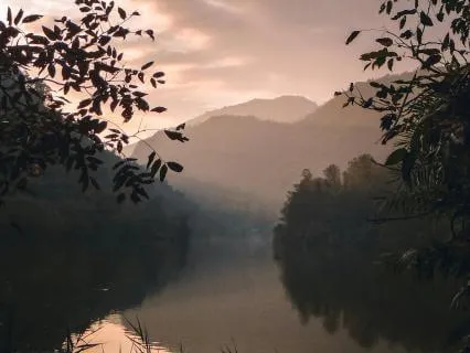 At Home - Nervous System Energetic Healing