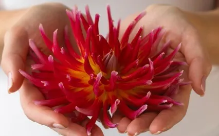 At My Core - A Daily Mantra